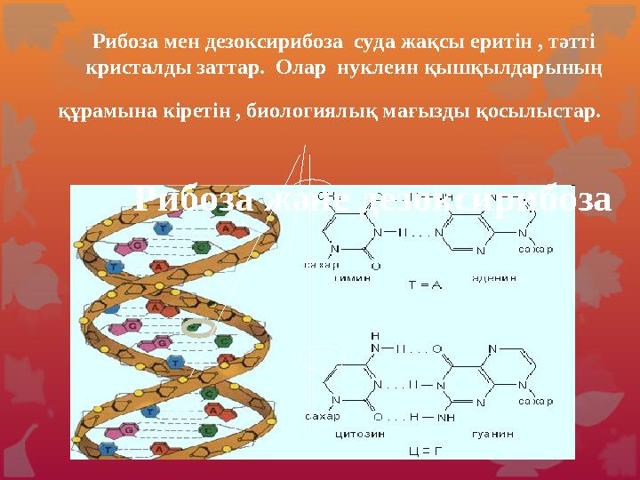 Құрылымдық формуласы