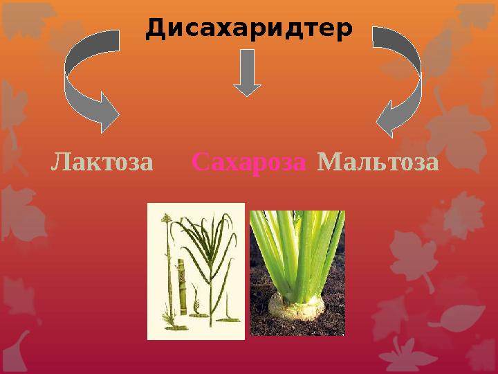 Глюкозаның бірнеше изомері бар соның бірі – фруктоза.Фрук тозаны жеміс қанты деп те атайды.Балдың құрамында болады