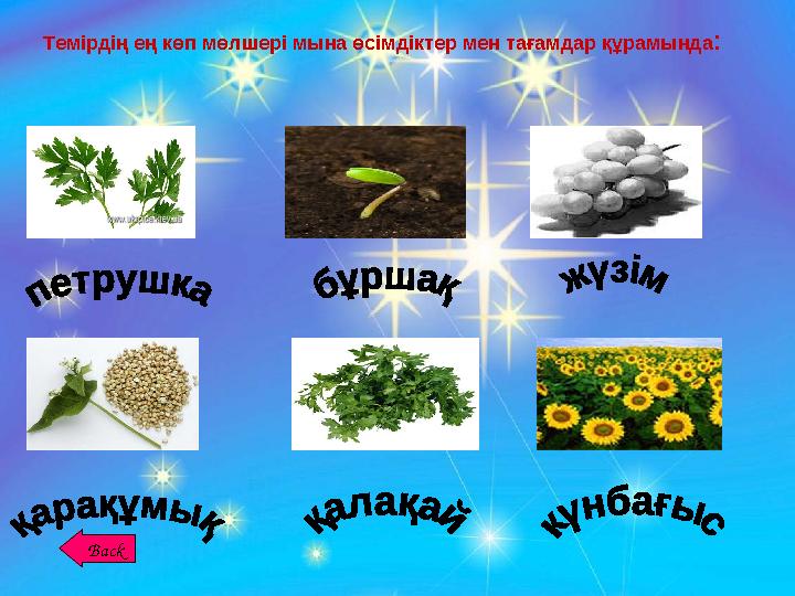 Темірдің ең көп мөлшері мына өсімдіктер мен тағамдар құрамында :