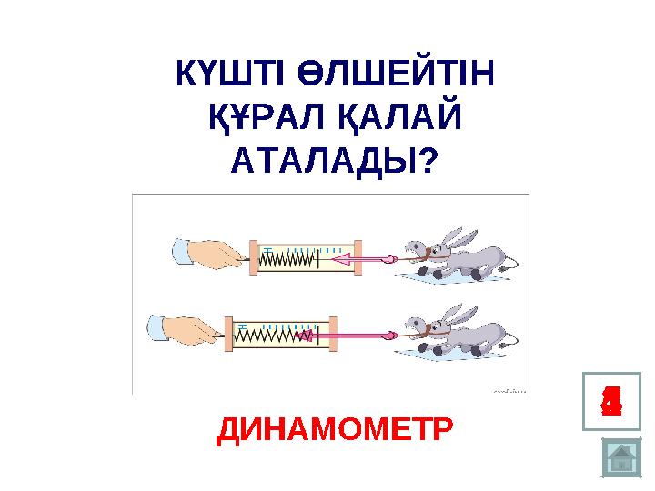 1 2345КҮШТІ ӨЛШЕЙТІН ҚҰРАЛ ҚАЛАЙ АТАЛАДЫ? ДИНАМОМЕТР