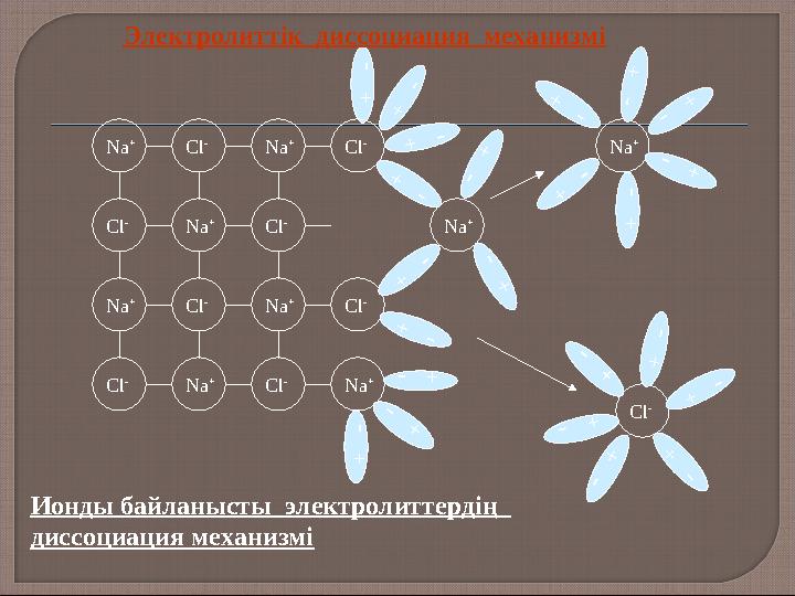 + - Cl - Na + Na + Na + Na + Na + Na + Na + Cl - Cl - Cl - Cl - Cl - Cl - Cl - Na + + - + - + -