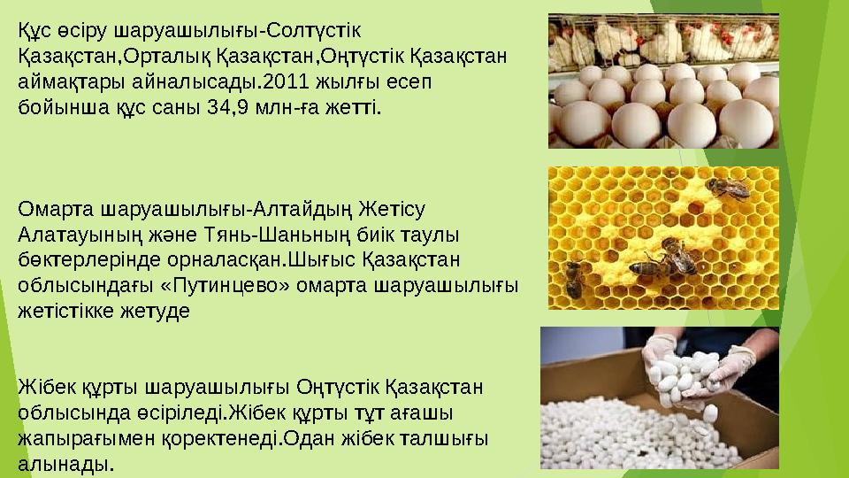 Құс өсіру шаруашылығы-Солтүстік Қазақстан,Орталық Қазақстан,Оңтүстік Қазақстан аймақтары айналысады.2011 жылғы есеп б