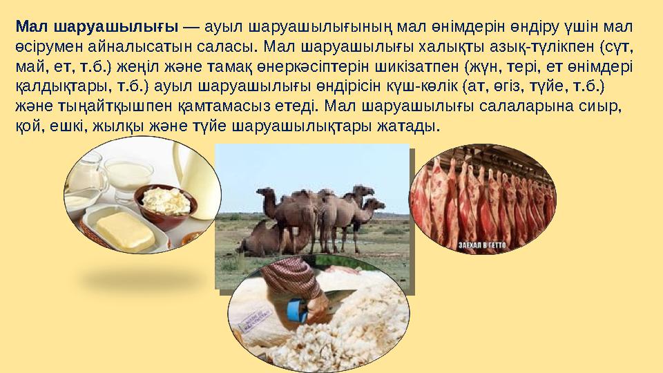 Мал шаруашылығы — ауыл шаруашылығының мал өнімдерін өндіру үшін мал өсірумен айналысатын саласы. Мал шаруашылығы халықты азық-т