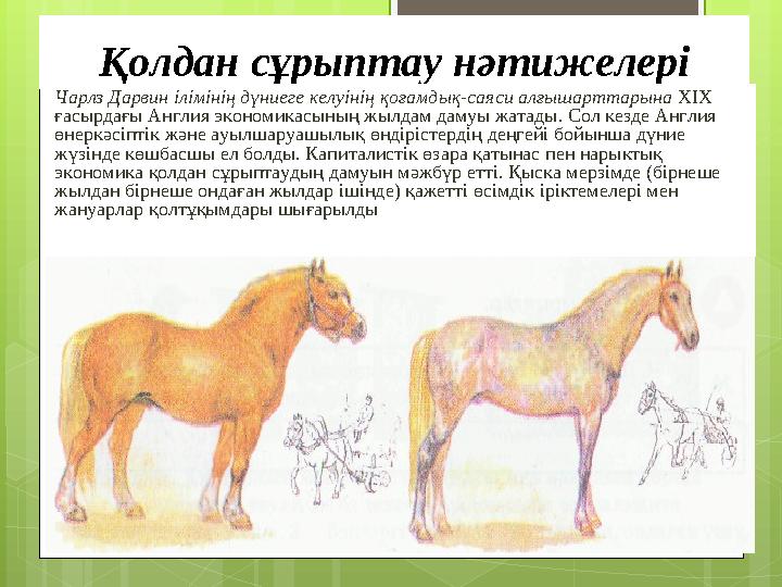 Қолдан сұрыптау нәтижелері Чарлз Дарвин ілімінің дүниеге келуінің қоғамдық-саяси алғ