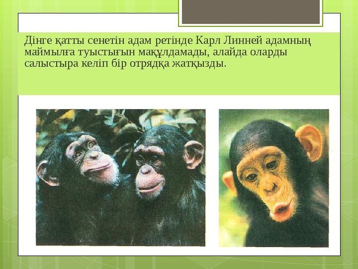 Дінге қатты сенетін адам ретінде Карл Линней адамның маймылға туыстығын мақұлдамады