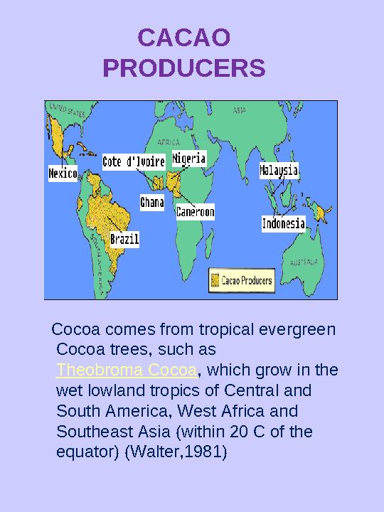 CACAO PRODUCERS Cocoa comes from tropical evergreen Cocoa trees, such as Theobroma Cocoa , which grow in the wet lowland