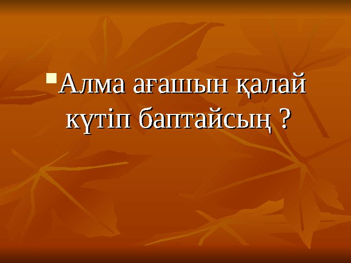  Алма ағашын қалай Алма ағашын қалай күтіп баптайсың ? күтіп баптайсың ?