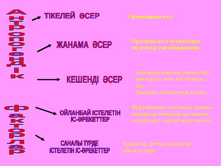 Ормандарды кесу Орманды кесу нәтижесінде аң мен құстан айырылады Ауылшаруашылық зиянкестері- мен күресу үшін егістіктерді, бау