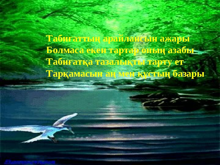 Табиғаттың арайлансын ажары Болмаса екен тартар оның азабы Табиғатқа тазалықты тарту ет Тарқамасын аң мен құстың базары