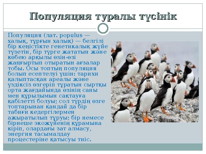 Клэр Сантос