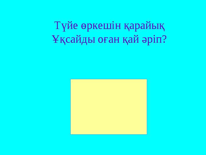 Түйе өркешін қарайық Ұқсайды оған қай әріп?