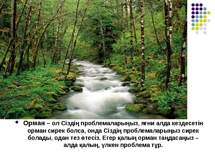  Орман – ол Сіздің проблемаларыңыз, яғни алда кездесетін орман сирек болса, онда Сіздің проблемаларыңыз сирек болады, ода