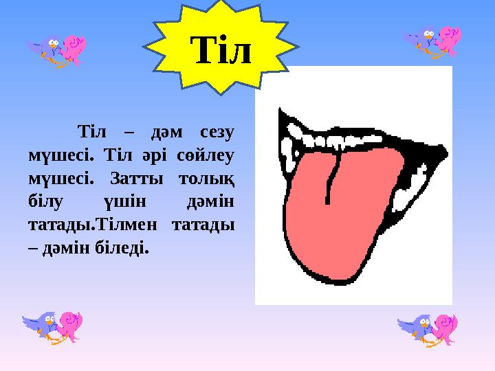 Тіл Тіл – дәм сезу мүшесі. Тіл әрі сөйлеу мүшесі. Затты толық білу үшін дәмін татады.Тілмен татады – дәмін білед