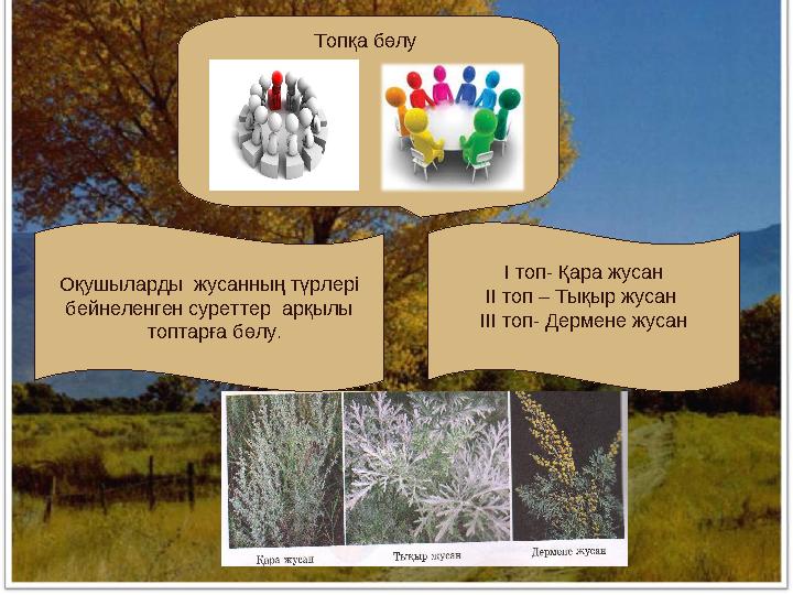 І топ- Қара жусан ІІ топ – Тықыр жусан ІІІ топ- Дермене жусанОқушыларды жусанның түрлері бейнеленген суреттер арқылы т