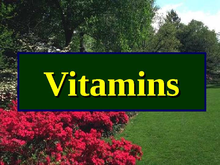 Порно жүктеп алу 2 МБ дейін