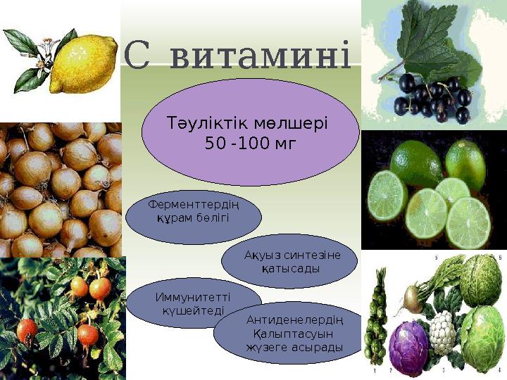 Сәбіз мысықтар үшін жақсы витамин болып табылады, оларды ішке қабылдаңыз.
