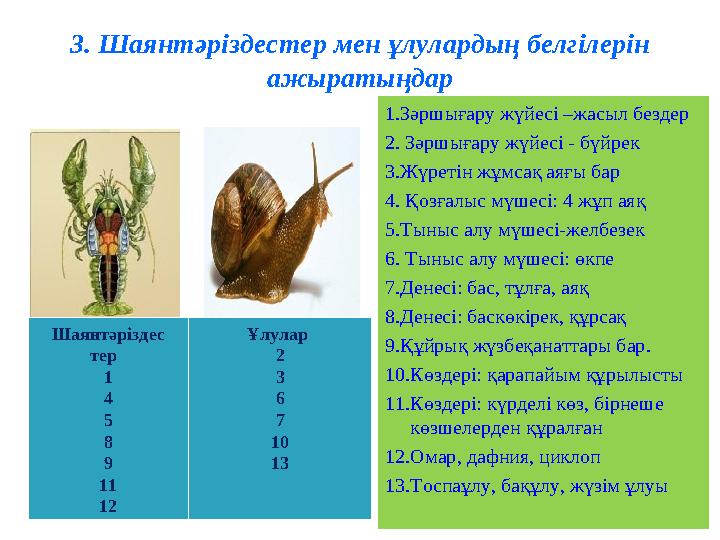 3. Шаянтәріздестер мен ұлулардың белгілерін ажыратыңдар 1.Зәршығару жүйесі –жасыл бездер 2. Зәршығару жүйесі - бүйрек 3.Жүретін