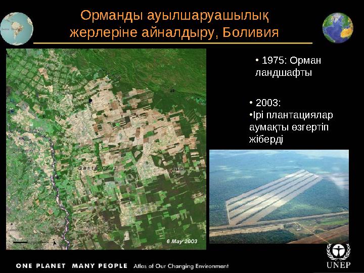 Орманды ауылшаруашылық жерлеріне айналдыру, Боливия • 1975: Орман ландшафты • 2003: • Ірі плантациялар аумақты өзгертіп