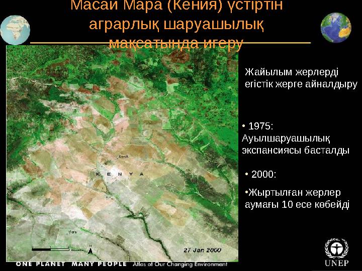 Масаи Мара (Кения) үстіртін аграрлық шаруашылық мақсатында игеру Жайылым жерлерді егістік жерге айналдыру • 1975: Ауылшар