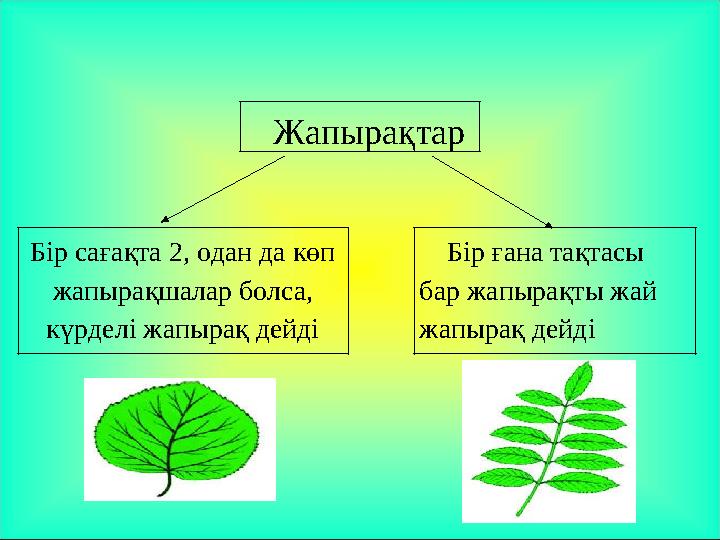 Демалыстағы жалаңаш ойындар