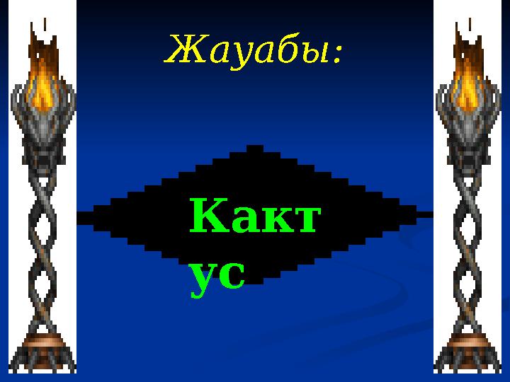 Жауабы : Какт ус