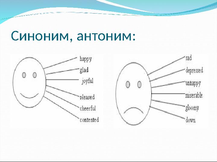 Синоним, антоним: