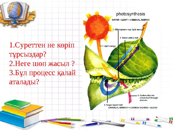 1.Суреттен не көріп тұрсыздар? 2.Неге шөп жасыл ? 3.Бұл процесс қалай аталады?