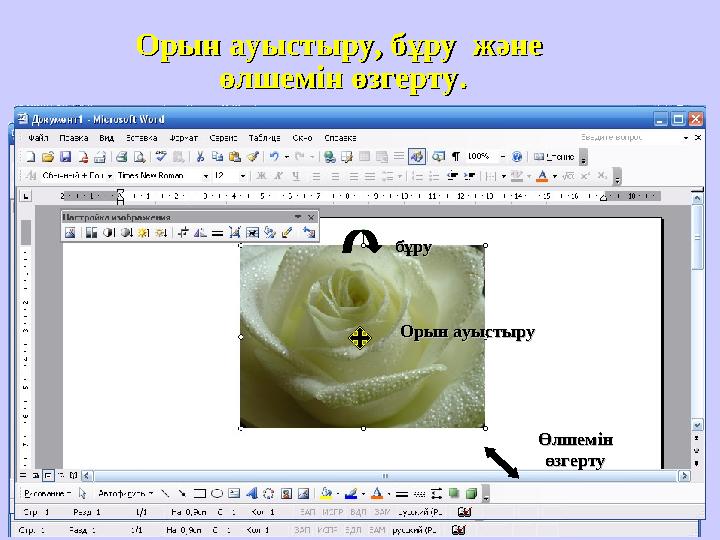 Орын ауыстыру, бұру және Орын ауыстыру, бұру және өлшемін өзгерту.өлшемін өзгерту. бұрубұру Өлшемін Өлшемін өзгертуөзгертуОр