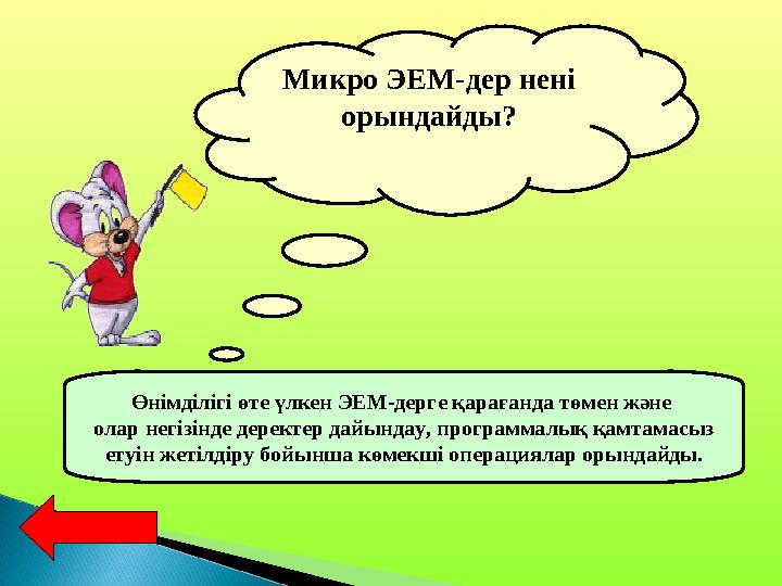 Микро ЭЕМ-дер нені орындайды? Өнімділігі өте үлкен ЭЕМ-дерге қарағанда төмен және олар негізінде деректер дайындау, программал