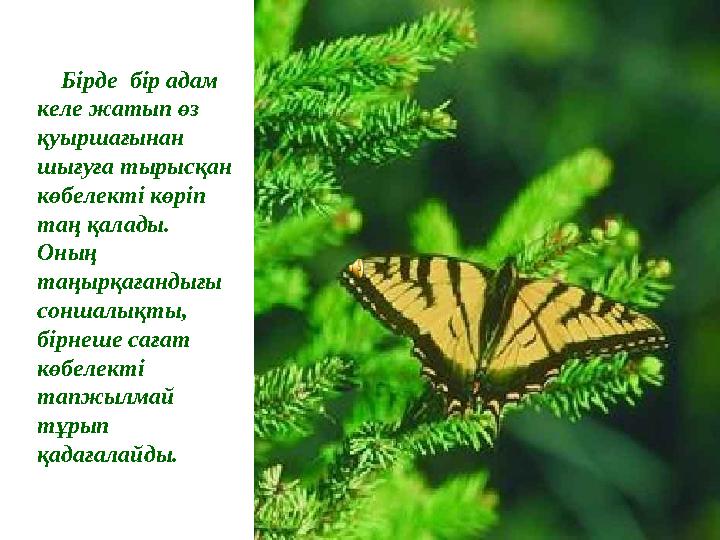 Жетілген шығыс әйелдер сквирт порно