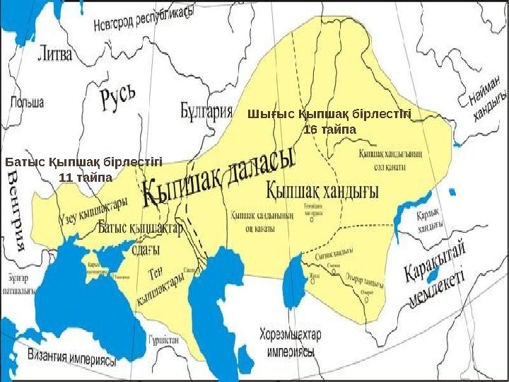 Шығыс Қыпшақ бірлестігі 16 тайпа Батыс Қыпшақ бірлестігі 11 тайпа