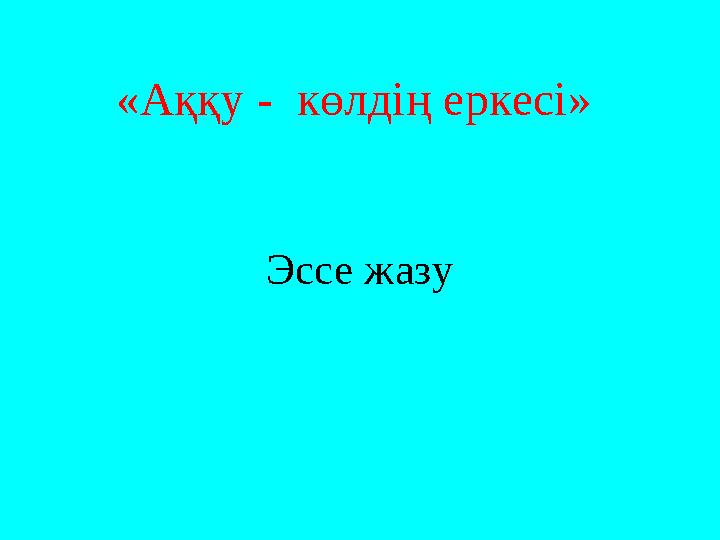 «Аққу - көлдің еркесі» Эссе жазу