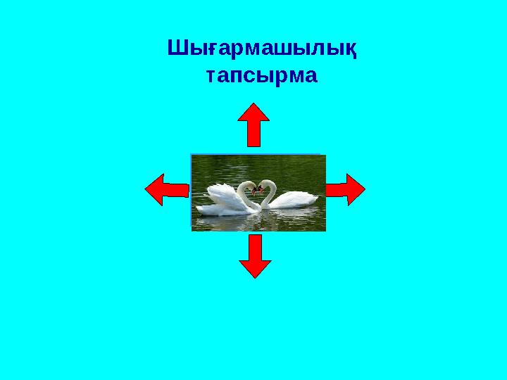 Шығармашылық тапсырма