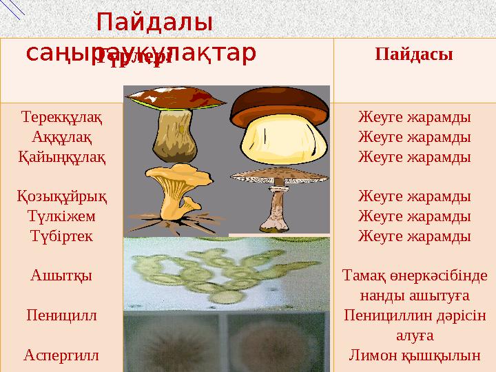 Түрлері Пайдасы Терекқұлақ Аққұлақ Қайыңқұлақ Қозықұйрық Түлкіжем Түбіртек Ашытқы Пеницилл Ас