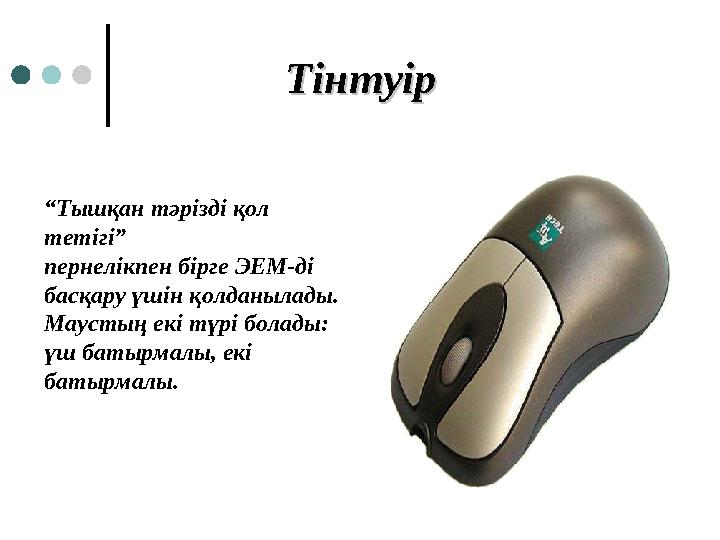 ТінтуірТінтуір “Тышқан тәрізді қол тетігі” пернелікпен бірге ЭЕМ-ді басқару үшін қолданылады. Маустың екі түрі болады: үш бат