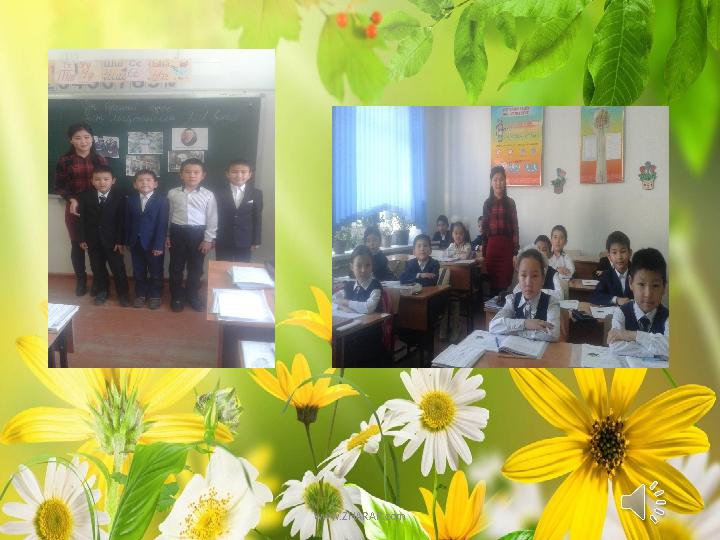www.ZHARAR.com