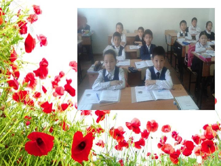 www.ZHARAR.com