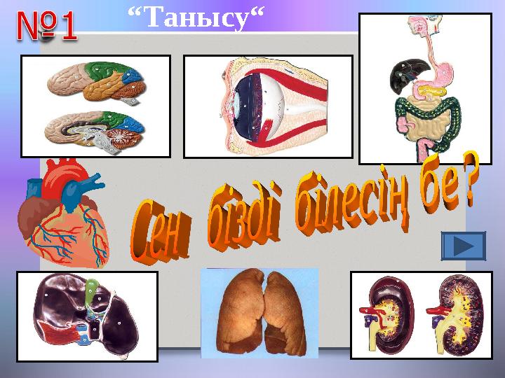“Танысу“