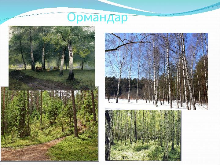 Ормандар