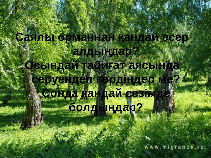 Саялы орманнан қандай әсер алдыңдар? Осындай табиғат аясында серуендеп көрдіңдер ме? Сонда қандай сезімде болдыңдар?