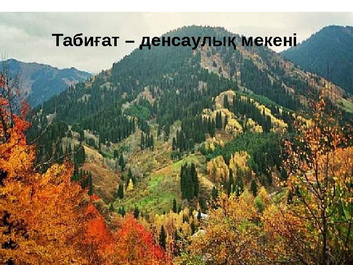 Табиғат – денсаулық мекені