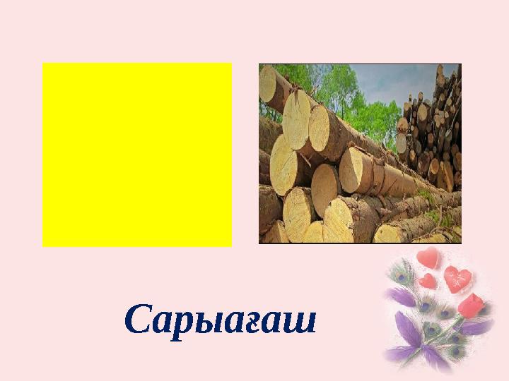 Сарыағаш