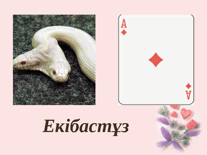 Екібастұз