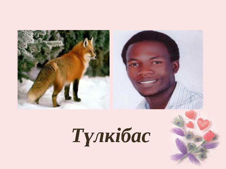Түлкібас