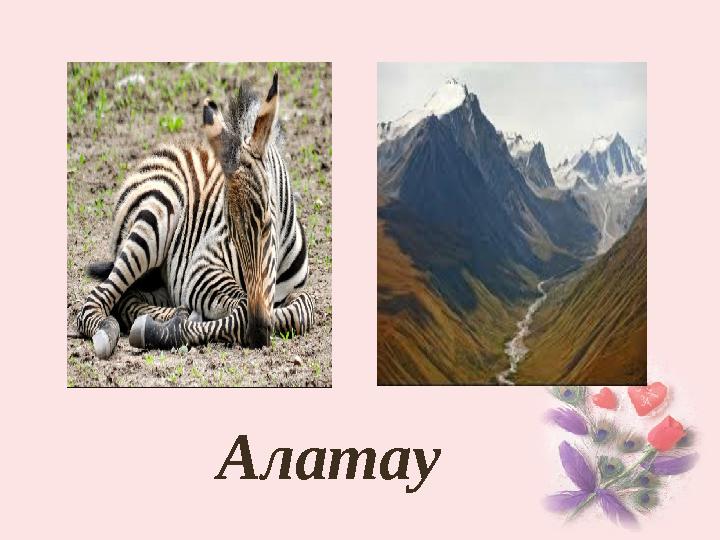 Алатау