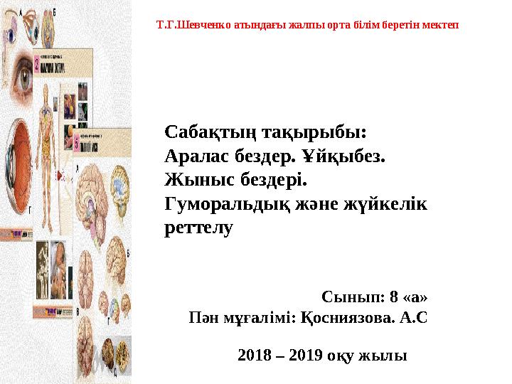 8 Жыныс түрлері 8 Жыныс түрлері