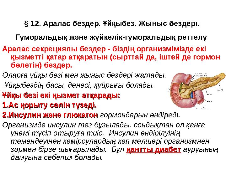 § 12. Аралас бездер. Ұйқыбез. Жыныс бездері. Гуморальдық және жүйкелік-гуморальдық реттелу Аралас секрециялы бездер - біздің о
