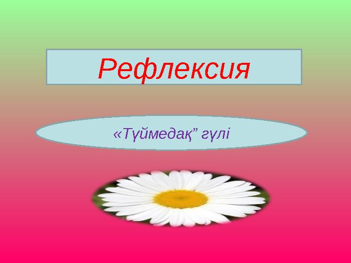 Рефлексия «Түймедақ” гүлі