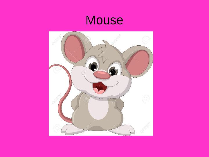 Mouse