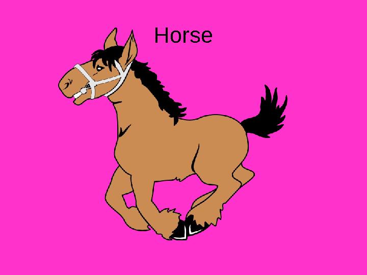 Horse
